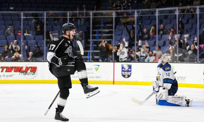 55194533273 731124d004 o