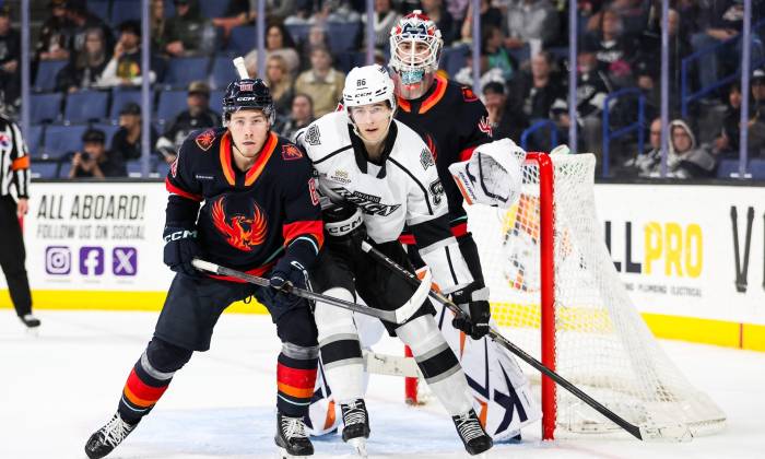 55073574494 79f875de57 o