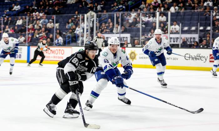 55156102498 bc11117577 o