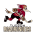Tucson Roadrunners