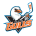 San Diego Gulls